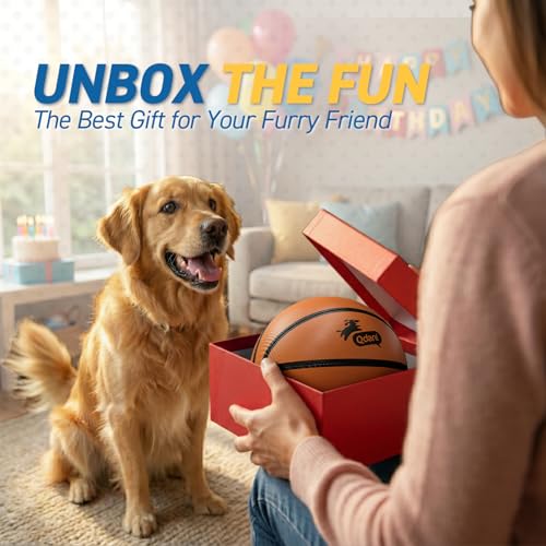 QDAN Dog Ball Basketball Toys, Balls with Straps, Dog Water Toy Pool Toys for Small Medium Dogs (6 Inch) - color: Basketball, size: 6 Inch