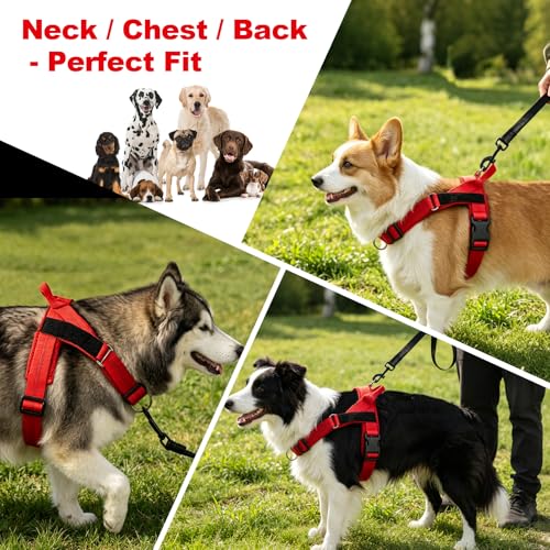 No Pull Dog Harness, Arcolma,Made to Roam Collar Design with Breathable Neoprene Padding, Y-Shaped Anti-Choking, Double D-Ring Traction, High-Reflective Strips for Daily Walking & Outdoor Adventure（L） - size: Large
