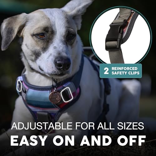 Embark Adventure Small Dog Harness – No-Pull, Reflective Trim, Military-Grade Nylon, Front Clip with Gel-Lined Handle, Soft & Padded - color: Baja, size: S