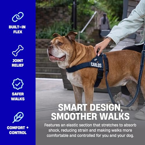 Dog Friendly Co. Bungee Dog Leash | Strain Free & Shock Resistant for Control | Neoprene Padded Handle, Heavy-Duty Carabiner Clip, and D-Ring | Red, Size Regular - color: Red, size: Regular