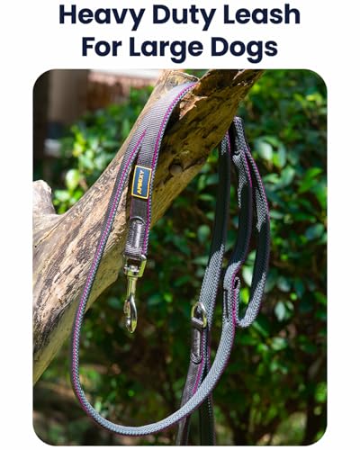 Heavy Duty Leash for Large Dogs that Pull, Two Handle Dog Leash, Three-Layer Sandwich Mesh-Lined Nylon Webbing, Sturdy Metal Zinc Hook, 6FT Long, Large Medium Dogs (Purple/Grey, 1'' X 6ft.) - color: Purple/Grey, size: 1'' X 6ft.
