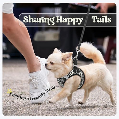 rabbitgoo Dog Harness Small Sized and Leash Set, Step in Soft Light Puppy Vest, Breathable Mesh Pet Harness, Reflective for Safe Easy Walking, Black Zigzag M - color: Black Zigzag, size: M (chest: 16 - 18.5")