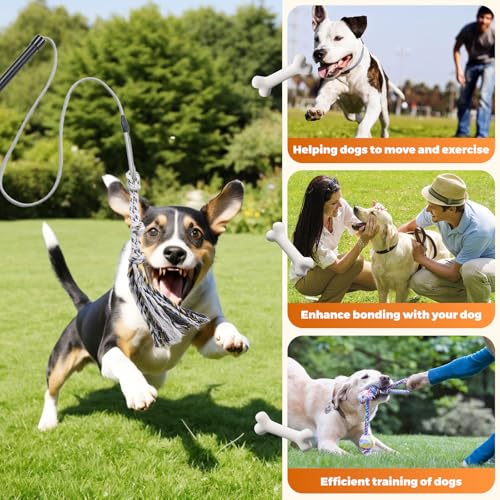 Pragmatist Outdoor Flirt Pole for Dog, Detachable Dog Flirt Pole Heavy Duty Sturdy Pet Toys for Outdoor Exercise & Training Durable Teaser Wand Interactive Toy for Small Medium Large Dogs, Black