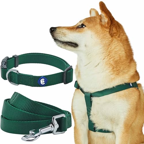 Blueberry Pet Essentials Matching Dog Collar Leash Harness Set in Verdant Green, Adjustable Classic Solid Color Nylon Collar with Harness & 4 ft Leash for Large Dogs - color: Verdant Green - Collar + Leash + Harness, size: Large