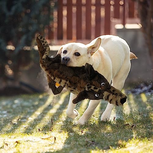 Chew Toys for Aggressive Chewers, Soft Interactive Plush Small Dog Toy,Heavy Duty Funny Indestructible Heavy Duty Dog Toy for Anxiety Relief Indoor Puppy Playing Teething Home Small Medium Breeds