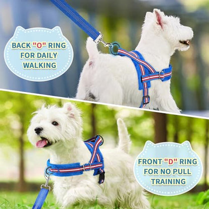 SlowTon No Pull Small Dog Harness and Leash Set, Puppy Soft Vest Harness Neck & Chest Adjustable, Reflective Lightweight Harness & Anti-Twist Pet Lead Combo for Small Medium Dogs (DB-Front Clip, S) - color: B-Dark Blue - With Front Clip, size: Small