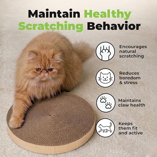 Best Pet Supplies Catify Cat Scratcher, Fun Interactive Scratchers, Posts, Poles, Claw Safe, Furniture Saver Indoor Play Support Natural Cat Behaviors Heavy Duty - 3 Pack Round, 10 x 10 - color: Round(3 Pack)