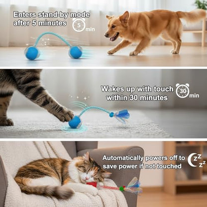 Interactive Cat Toys Ball for Cats - Upgrade Automatic Cat Toys for Indoor Cats, Chirping Cat Toy, 3 Modes 2 Speed Moving Cat Ball with Dragonfly Feathers 2PCS (Red Blue) - color: RedBlue-3