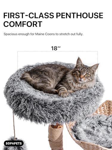 Sopapets Solid Wood Cat Tree for Large Cat, 41.3" Modern Cat Tower with Heavy Duty Real Branch & Hand-Woven Basket, Sisal Scratching Posts & Cozy Bed, Luxury Furniture for Indoor & Maine Coon, Gray - color: Gray
