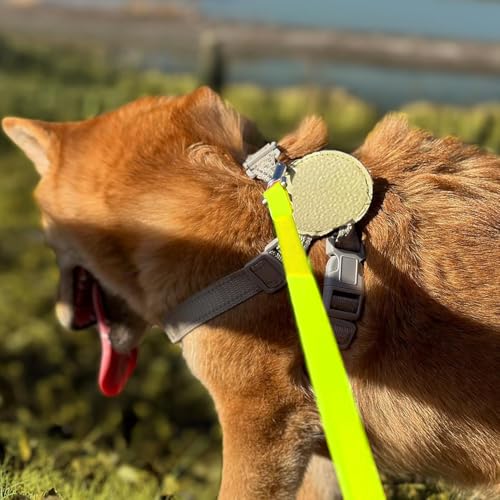 Waterproof Dog Training Leash,Long Line Heavy Duty Outdoor Recall Lead 10ft 15ft 20ft 30ft 50ft for Small Medium Large Dog (Yellow Green, 32FT)