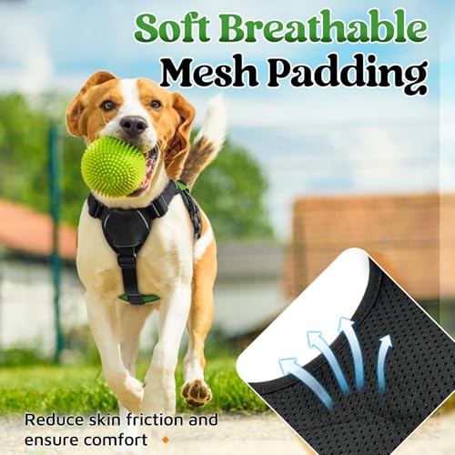 rabbitgoo Escape Proof Dog Harness, Soft Padded Full Body Pet Harness, Reflective Adjustable No Pull Vest with Lift Handle and Lesh Clip for Large Dogs Walking Hiking Training, S, Green - color: Green, size: Small (Pack of 1)
