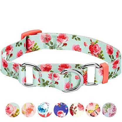 Blueberry Pet Spring Scent Inspired Rose Print Martingale Safety Training Dog Collar, Turquoise, Medium, Heavy Duty Adjustable Collars for Dogs - color: Turquoise, size: Medium