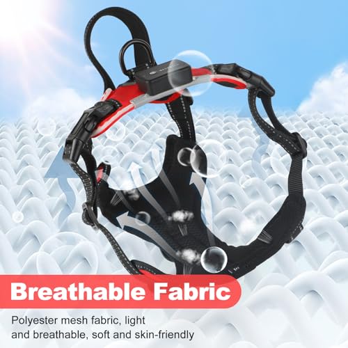 Lighted Dog Harness - No Pull, Glowing LED Harness with Handle, Adjustable for Small to Large Dogs - color: Red, size: S