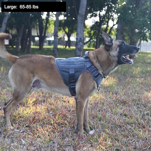ICEFANG Tactical Dog Harness, Large Size,2X Metal Buckle,Working Dog MOLLE Vest with Handle,No Pulling Front Leash Clip,Hook and Loop Panel (Grey,L (Pack of 1)) - color: Grey, size: Large (Pack of 1)