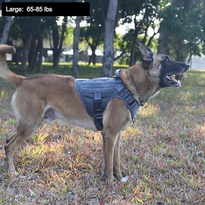 ICEFANG Tactical Dog Harness, Large Size,2X Metal Buckle,Working Dog MOLLE Vest with Handle,No Pulling Front Leash Clip,Hook and Loop Panel (Grey,L (Pack of 1)) - color: Grey, size: Large (Pack of 1)