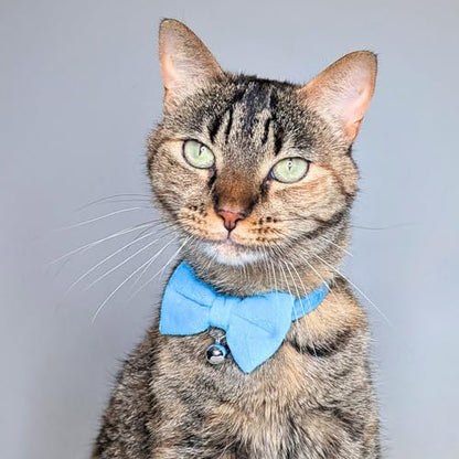 Velvet Bowtie Cat Collar with Bell – Adjustable Breakaway Blue Bow Cat Collar for Adult Cats (7–11") - color: Blue
