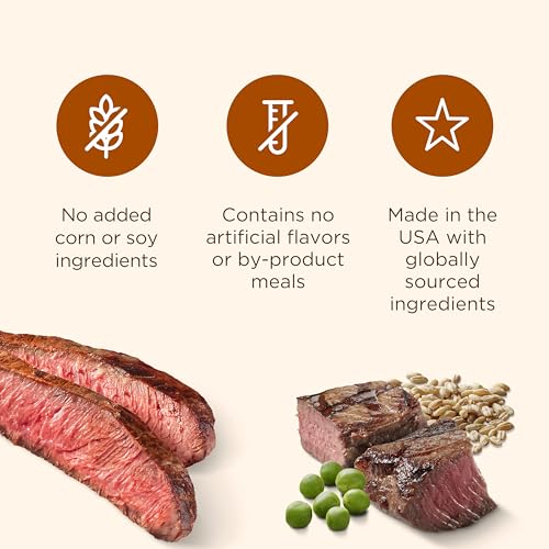 Nutrish Soup Bones Premium Dog Chews with Real Beef and Barley, 11 Chews, Packaging May Vary (Rachael Ray) (Pack of 2) - size: 23.04 Ounce (Pack of 2)