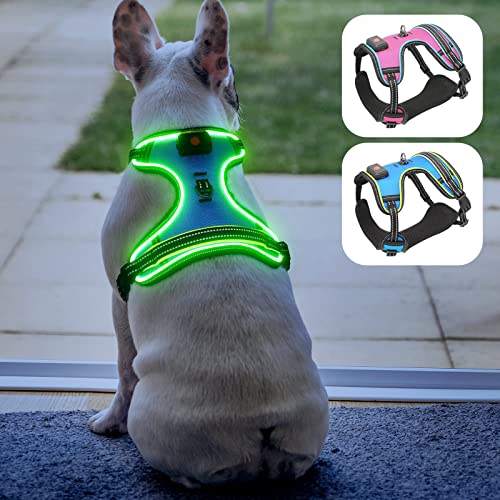 Safety LED Dog Harness - Light Up Dog Vest, No-Pull Dog Harness - Rechargeable Glowing Pet Harness for Night Walking & Camping (Blue+Green Light, Medium) - color: Blue+Green Light, size: Medium