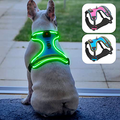 Safety LED Dog Harness - Light Up Dog Vest, No-Pull Dog Harness - Rechargeable Glowing Pet Harness for Night Walking & Camping (Blue+Green Light, Medium) - color: Blue+Green Light, size: Medium