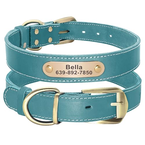 Didog Genuine Leather Dog Collars with Engraved Nameplate, Personalized Soft Leather Dog Collar with Custom ID Tag, Brown/Green/Red for Small Dogs (S,Blue) - color: Blue, size: S: Fit Neck 9-13"(8-14 lbs)