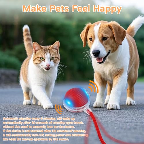 Goosheep 2025 New 2Pack Cat Ball Kitten Toys for Indoor Interactive Kitty Ball Toy Speedy Tail 360° Automatic Rolling for Dog, Cat(Red Grey) - size: 2 Pack