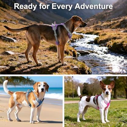 No Pull Dog Harness – Adjustable Reflective Nylon Vest for Small Medium Large Dogs, Escape Proof Training Harness with Leather Control Handle, Lightweight Aluminum Hardware (Purple, M) - color: Purple, size: M