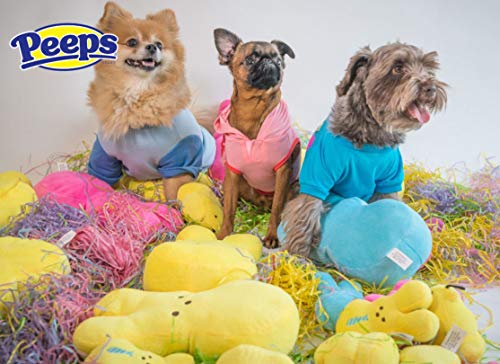 Peeps for Pets Plush Bunny Toys for Dogs, Pink/Purple, Mini/2 Pack | Fun Way to Keep Your Pet Entertained for Hours | Soft, Cute, Cuddly, and Squeaky Dog Toys for Easter or Everyday Use