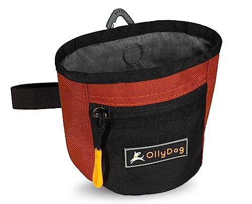 OllyDog Goodie Treat Bag, Dog Treat Pouch, Waist Belt Clip for Hands-Free Training, Magnetic Closure, Dog Training and Behavior Aids, Three Ways to Wear (Clay) - color: Clay