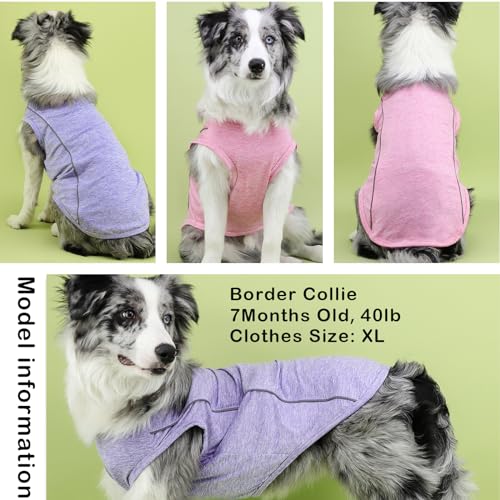 2 Pack Quick-Dry Dog Summer T-Shirt With Reflective Strips, Breathable Cooling Tank Top, Pet Sun Protection Clothes for Dogs Cats - Pink & Purple S - color: Pink & Purple, size: Small