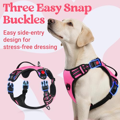 rabbitgoo Dog Harness for Large Dogs, No Pull Pet Harness with Soft Padded Handle, Adjustable Reflective Vest with 3 Buckles, Easy Walking Harness with 2 Leash Clips, Pink, L - color: Pink, size: Large