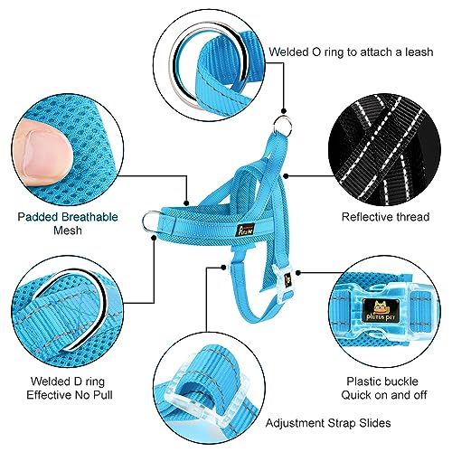 Plutus Pet No Pull Dog Harness with Breathable Mesh Padded, Adjustable Reflective Escape Proof Dog Harness, Quick Fit Dog Vest Harness for Small Medium Large Dogs(XXS, Cyan) - color: Cyan, size: XXS: chest 11.8"-15"