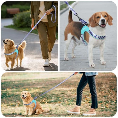 Kazazoo No Pull Small Dog Harness and Leash Set, Adjustable Puppy Soft Vest Harness with Breathable Mesh Padded, Reflective Lightweight Harness with Buckle for Small Medium Dogs, Blue Plaid M - color: Blue Plaid, size: M