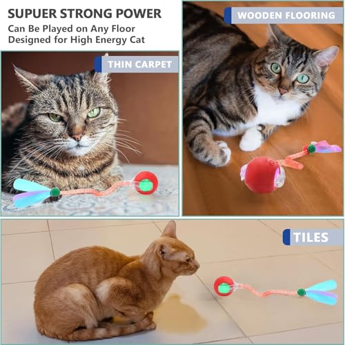 Speed 2.0 Tail Interactive Cat Toys for Indoor Cats, Chirping & Motion Activate Ca t Toy, Smart Kitten Rolling Ball Moving Ball Toys, Rechargeable Dog Cat Bal l for Enrichment Exercise (Blue) - color: Blue