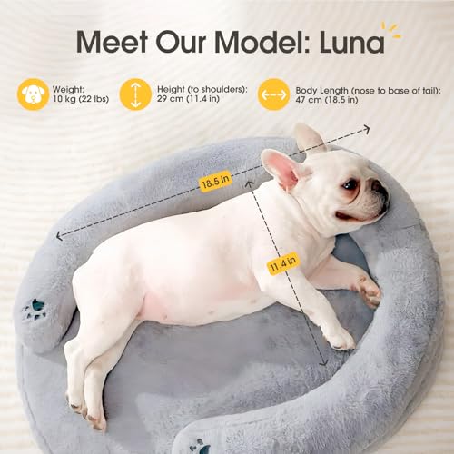 BurgeonNest Orthopedic Dog Bed for Small Dogs, Waterproof Soft Pet Cat Puppy Couch Bolster Bed with Pillow, Removable Washable Cover, Non-Slip Bottom, Egg-Crate Foam, Grey - size: 28.0"L x 23.6"W x 6.5"TH