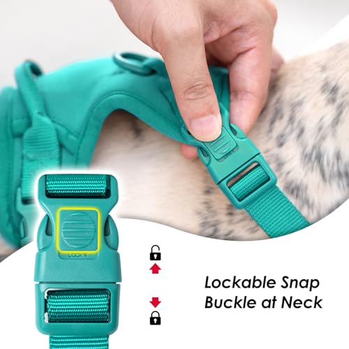 No Pull Dog Harness, Puppy Vest with Front Clip for Small Medium Large Sized Dog(MARRS Green,M) - color: MARRS Green, size: M(Neck:18.5-25.6", Chest:20.9-30.7")