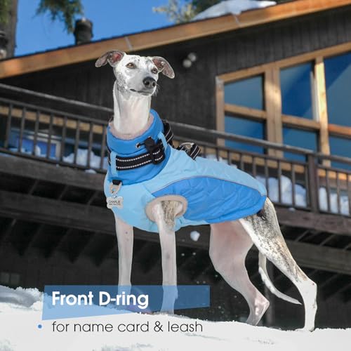 Zippered Small Dog Winter Coat, Turtleneck Reflective Fleece Jacket, Water Resistant Warm Dog Clothes with Buckles & D Ring for Leash and Name Card - S Blue - color: Blue, size: Small