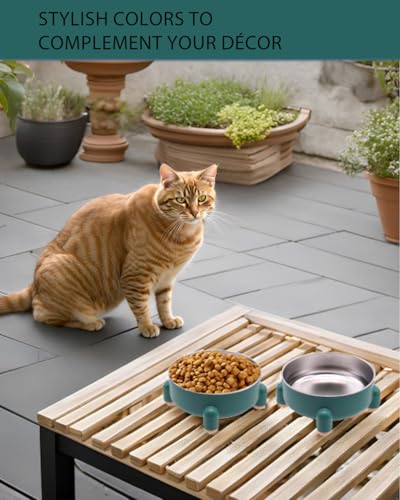 Elevated Cat Bowls 2-Pack for Anti-Vomiting & Whisker Relief - Stainless Steel Raised Food and Water Set, 3 Cups (24 oz) Each, Non-Slip, Dishwasher Safe for Indoor Cats (Green) - size: 2 Pcs
