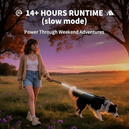Night Walking LED Dog Leash - 6FT Reflective & Waterproof Light Up Safety Leashes for Dogs - USB Rechargeable, White - color: White(Fiber optic version)