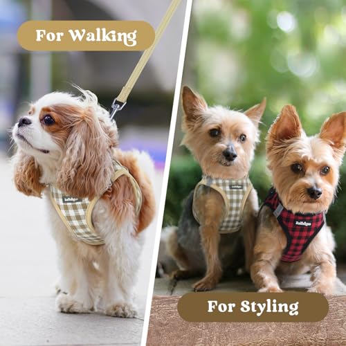 rabbitgoo Small Dog Harness, Step-in Soft Mesh Puppy Vest with Safety Buckle, Breathable Reflective Pet Harness for Small Sized Dogs, Beige Plaid XS - color: Beige Plaid, size: Xs(chest:13.3"-15.5")