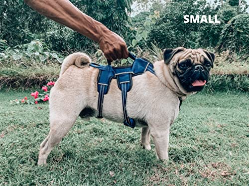 Tuff Pupper Escape Proof No Escape Dog Harness | 5 Point Adjustable Fit Harness for Dogs | Padded Dog Harnesses | Handle Dog Lift Harnesses - color: Midnight Blue, size: Small