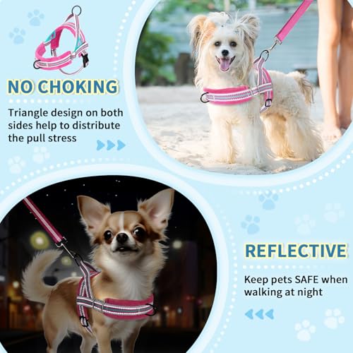 Lukovee No Pull Dog Harness and Leash Set, Soft Padded Small Dog Harness, Neck & Chest Adjustable Reflective Vest Puppy Harness with 4ft Lightweight Anti-Twist Dog Leash for Small Dogs (XXS, Fuschia) - color: Fuchsia - with Stripe, size: XXS ( Chest 11.5'