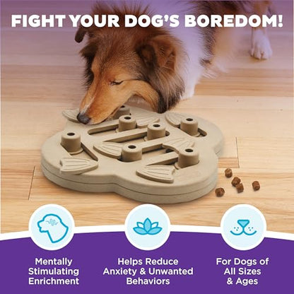 Outward Hound by Nina Ottosson Dog Hide N' Slide Treat Puzzle Enrichment Toy, Level 2 Intermediate, Tan, Composite - color: Dog Hide-N-Slide (Tan)
