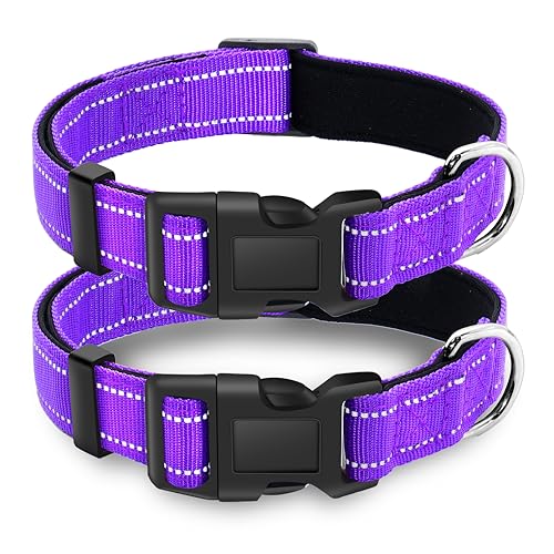 2 Pack Reflective Dog Collar with Safety Locking Buckle, Adjustable Soft Breathable Comfortable Nylon Pet Collar for Small, Medium and Large Dogs, Purple, S - color: A-Purple(2 Collars), size: Small (Width 3/4")