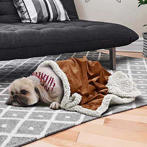 Dog Blankets for Small Dogs, Soft Puppy Blanket, Pet Blankets for Cats, Lightweight & Washable, Perfect for Dog Beds, Car Seats, Creat, 30x40 inches - color: Brown