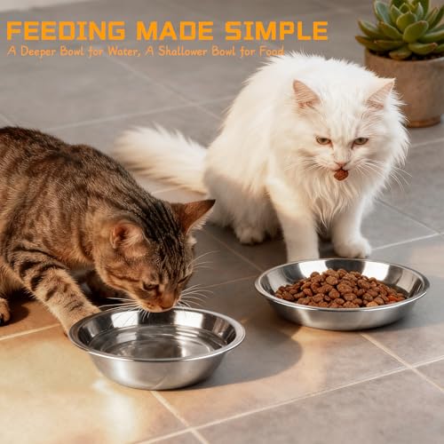 ZUFECY 2-Pack Cat Bowl Combo Set,7.1'' Stainless Steel Flat Plate & Deep Bowl, Dual-Purpose for Dry/Wet Food & Water Feeding