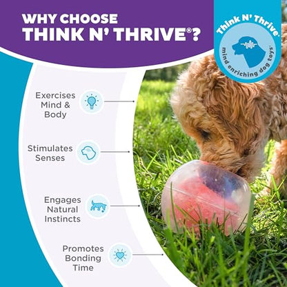 Outward Hound Nina Ottosson Topsy Treat Ball Dog Puzzle Interactive Treat Puzzle Dog Enrichment Dog Toy, Level 1 Beginner, Orange - color: Blue