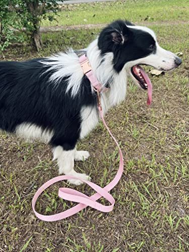 Dog Collar and Leash Set.Soft and Easy to Clean Vegan Leather with Rose Gold Metal Buckle for Small Medium Large Dogs (Pink, L(15.4”-24.8“) - color: Pink, size: L