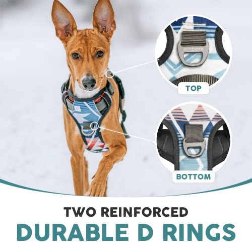 Embark Adventure Small Dog Harness – No-Pull, Reflective Trim, Military-Grade Nylon, Front Clip with Gel-Lined Handle - color: Santa Monica, size: S