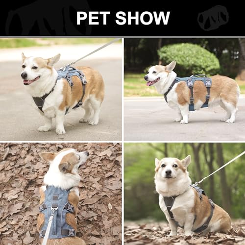 Escape Proof Dog Harness Small Sized Dog, Reflective No Pull Dog Vest with Handle, Lightweight Full Body Pet Harness Adjustable for Walking,Training(Blue,Chest:16-27") - color: Blue, size: S: Chest 16-27", Fit 12-25 lbs
