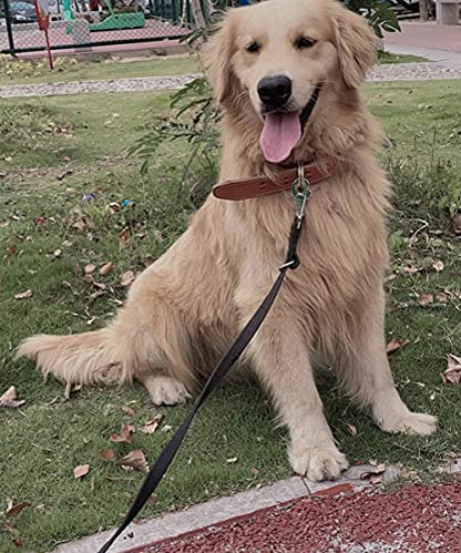 6 FT Heavy Duty Tactical Dog Leash, Military Style Thick Nylon Strong K9 Dog Leash for Outdoor Walking Hunting Hiking, Coyote Brown - color: coyote brown